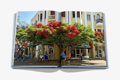 Cosi Store • Tel Aviv Spirit Assouline (Assouline)