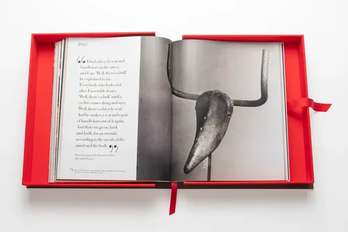 Cosi Store • Pablo Picasso : The Impossible Collection Assouline (Assouline)