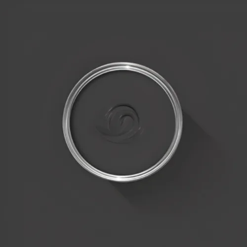 Cosi Store • Pitch Black n°256 (Farrow & Ball)