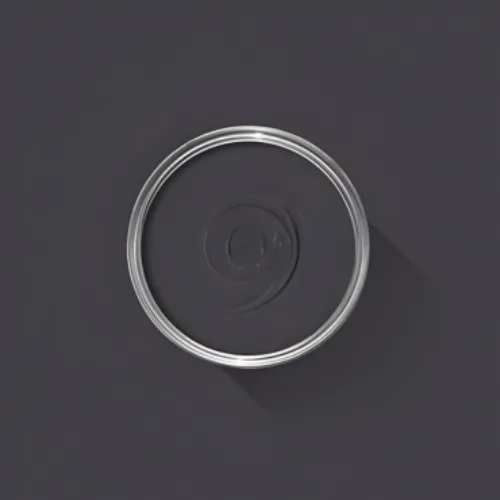 Cosi Store • Paean Black n°294 (Farrow & Ball)