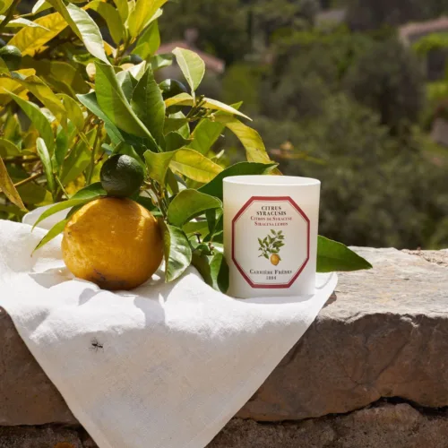 Cosi Store • Bougie Citron de Syracuse Carrière Frères (Carrière Frères)