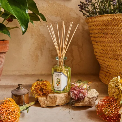 Cosi Store • Diffuseur Fleur d'oranger Carrière Frères (Carrière Frères)