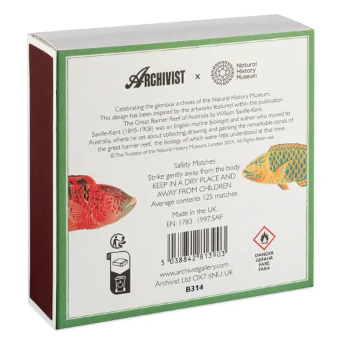 Cosi Store • Allumettes Natural History Museum Fish (Archivist)