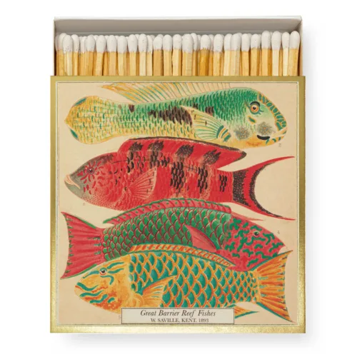 Cosi Store • Allumettes Natural History Museum Fish (Archivist)