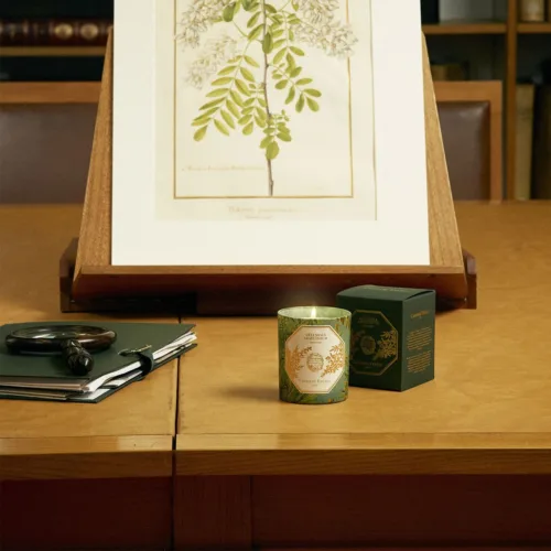 Cosi Store • Bougie Absinthe Carrière Frères (Carrière Frères)