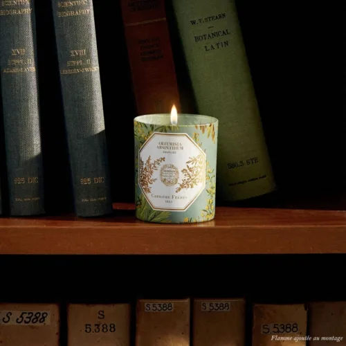 Cosi Store • Bougie Absinthe Carrière Frères (Carrière Frères)