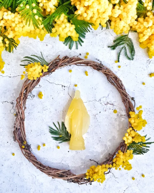 Cosi Store • Mini Miraculeuse (La Ciergerie des Prémontrés)