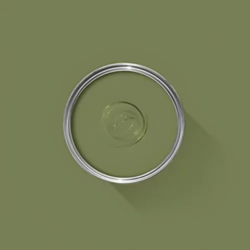 Cosi Store • Sap Green n°199 (Farrow & Ball)