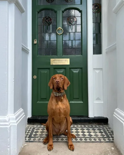 Cosi Store • Beverly n°310 (Farrow & Ball)