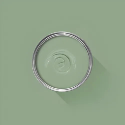 Cosi Store • Breakfast Room Green n°81 (Farrow & Ball)
