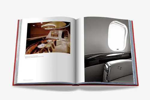Cosi Store • The Art Of Flying (Assouline)