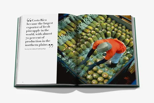 Cosi Store • Costa Rica Vida (Assouline)
