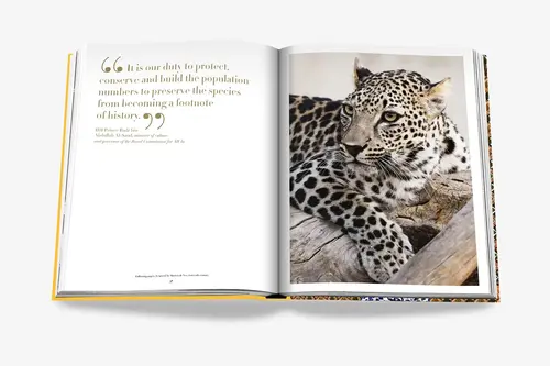 Cosi Store • Arabian Leopard (Assouline)