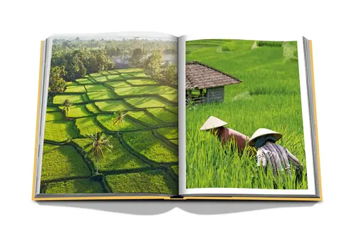 Cosi Store • Bali Mystique (Assouline)
