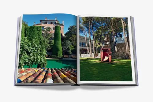Cosi Store • Provence Glory (Assouline)