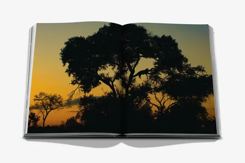 Cosi Store • Londolozi (Assouline)