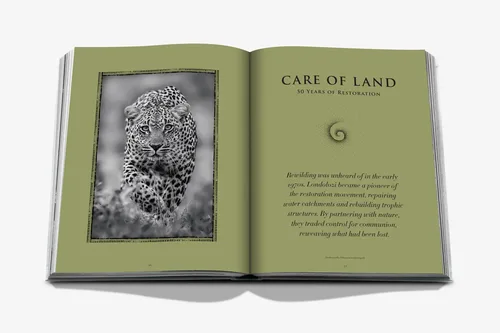 Cosi Store • Londolozi (Assouline)