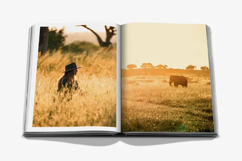 Cosi Store • Londolozi (Assouline)