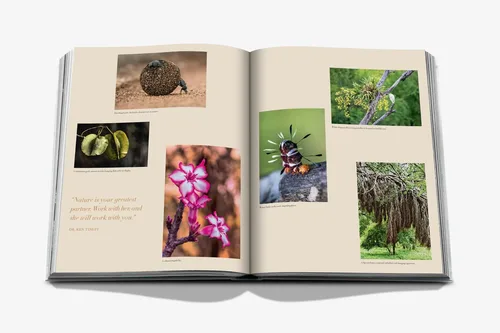 Cosi Store • Londolozi (Assouline)