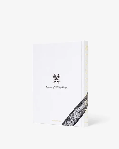 Cosi Store • Londolozi (Assouline)