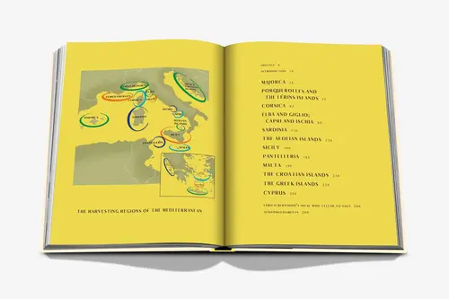 Cosi Store • Wine & Travel Mediterranean Islands (Assouline)