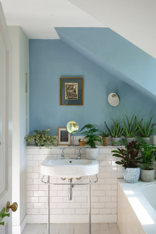 Cosi Store • Échantillon (Farrow & Ball)