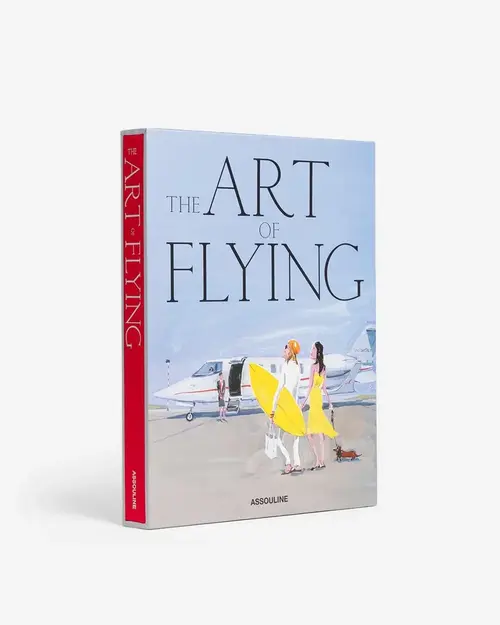Cosi Store • The Art Of Flying (Assouline)