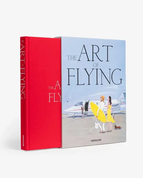 Cosi Store • The Art Of Flying (Assouline)