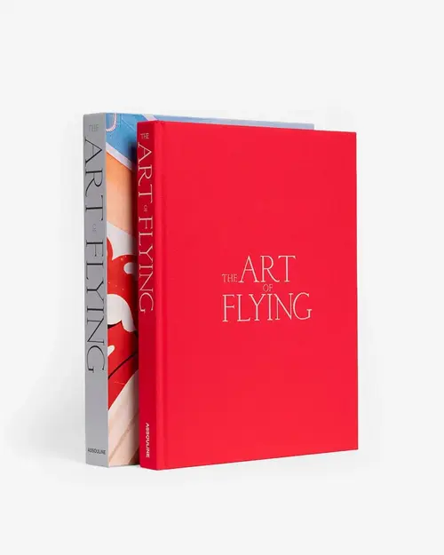 Cosi Store • The Art Of Flying (Assouline)