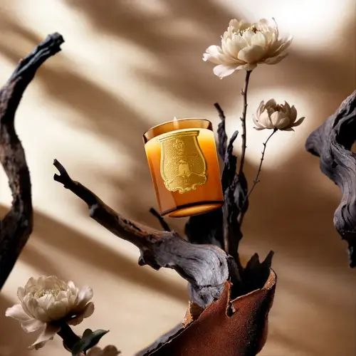 Cosi Store • Bougie Altaïr Trudon (Trudon)