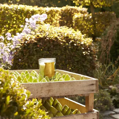 Cosi Store • Bougie Figuerie (Trudon)