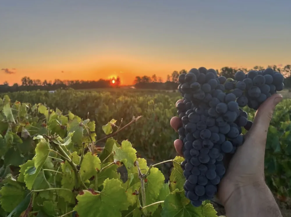 Cosi Store • Capture décran 2026 03 26 à 14 32 35