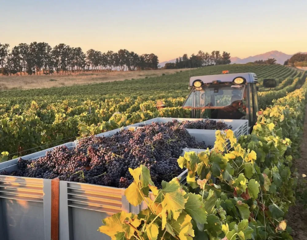 Cosi Store • Capture décran 2026 03 26 à 14 32 47