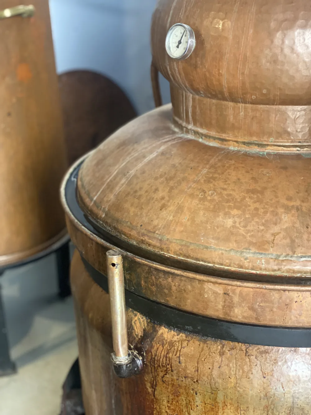 Cosi Store • IMG 5522