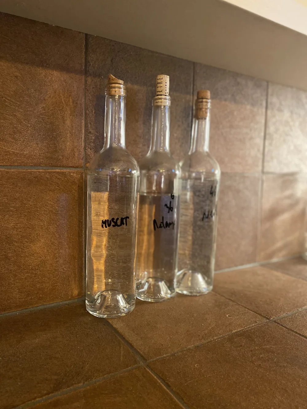 Cosi Store • IMG 9821