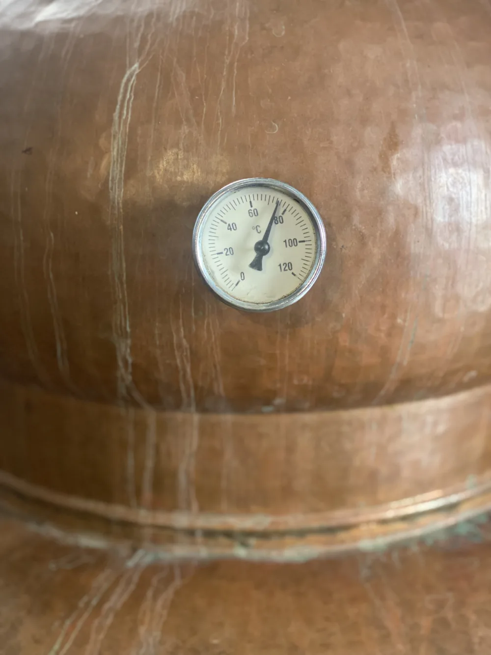 Cosi Store • IMG 5525