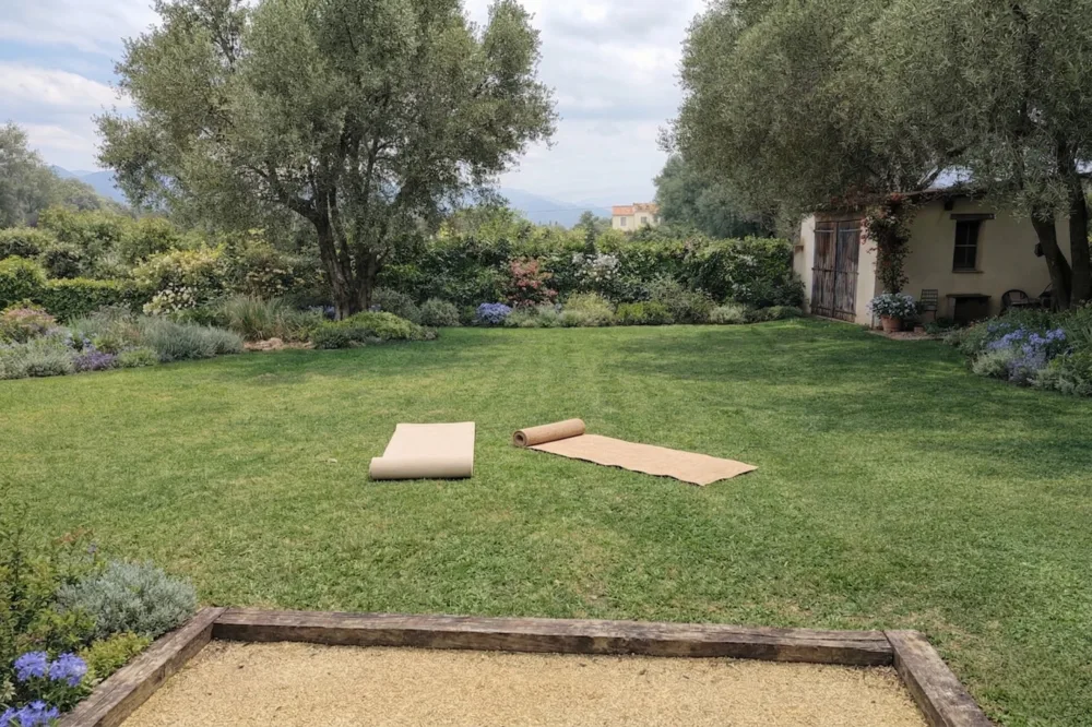 Cosi Store • 900e74a0 3a8d 4549 82f4 e85447224ac4