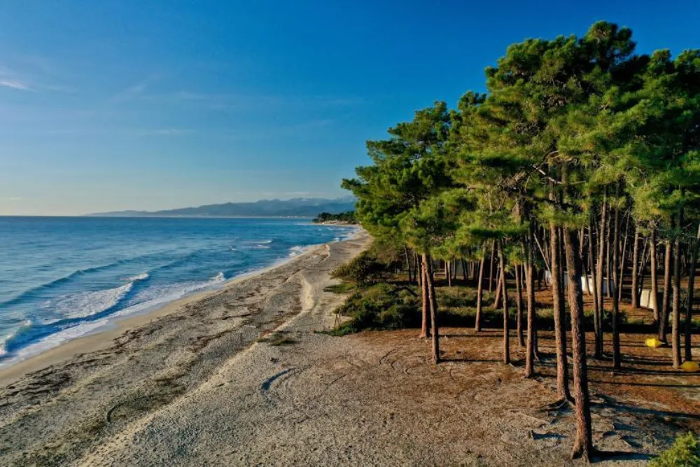 Cosi Store • Plages corse orientale photo square 2